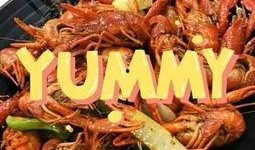 舌尖爆料龙虾视频播放在线观看,龙虾视频在线观看，美味瞬间来袭！