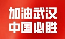 青山最新爆料新闻,揭秘娱乐圈惊人内幕