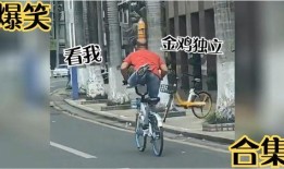 搞笑大佬爆料视频下载大全,笑料横飞，欢乐无限