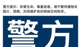 今日成都爆料新闻视频下载,视频揭秘事件真相